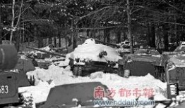 坦克200最新爆料,揭秘最新爆料，性能与颜值双提升